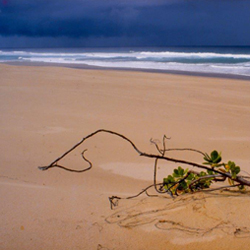 beach
